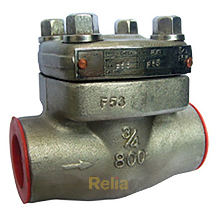 forged steel check valve NPT ends