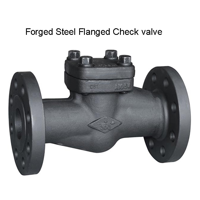 forged steel flanged check valve