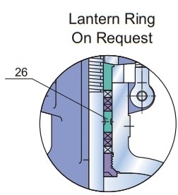 Class 300 cast steel gate valve lantern ring on request
