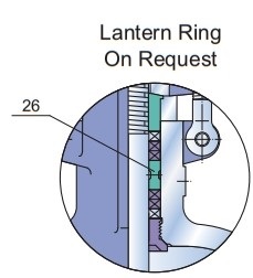 Class 600 gate valve lantern ring on request