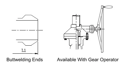 Class 900 gate valve butt welding and gear operated