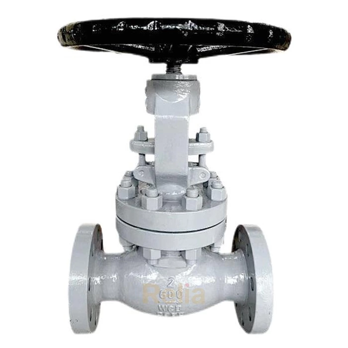 2 inch flanged globe valve