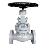 2 inch flanged globe valve