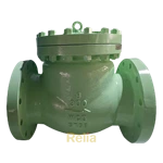 ansi class 300 check valve