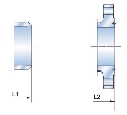 class 1500 swing check valve drawing-1