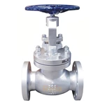 Class 300 Globe Valve