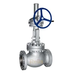 dn200 globe valve